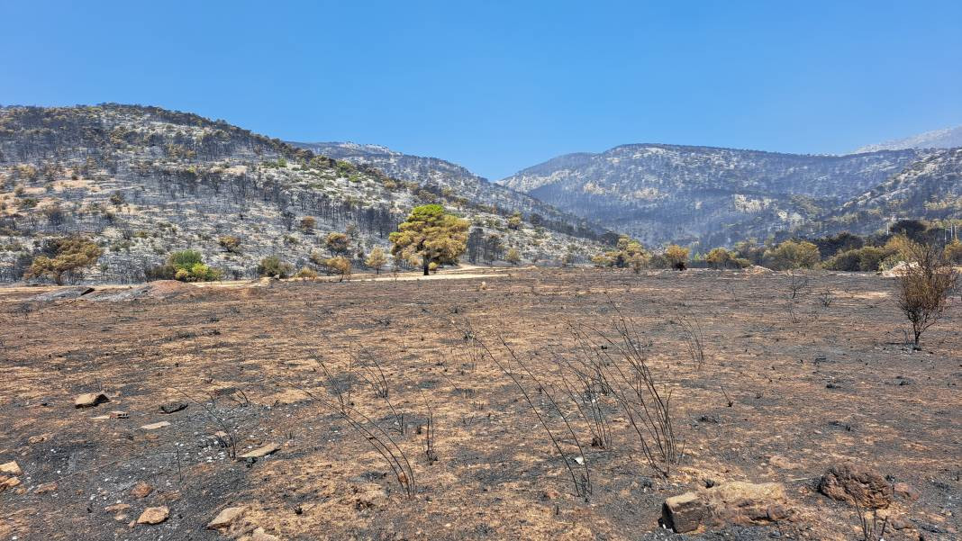 Meriç Bölgesi'nde yanan ormanlık alanda ceset bulundu - Resim: 27